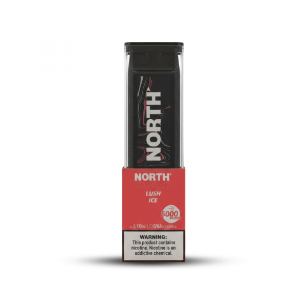 North 5000 Puffs Disposable Vape – Lush Ice (10ml, 5% Nicotine)